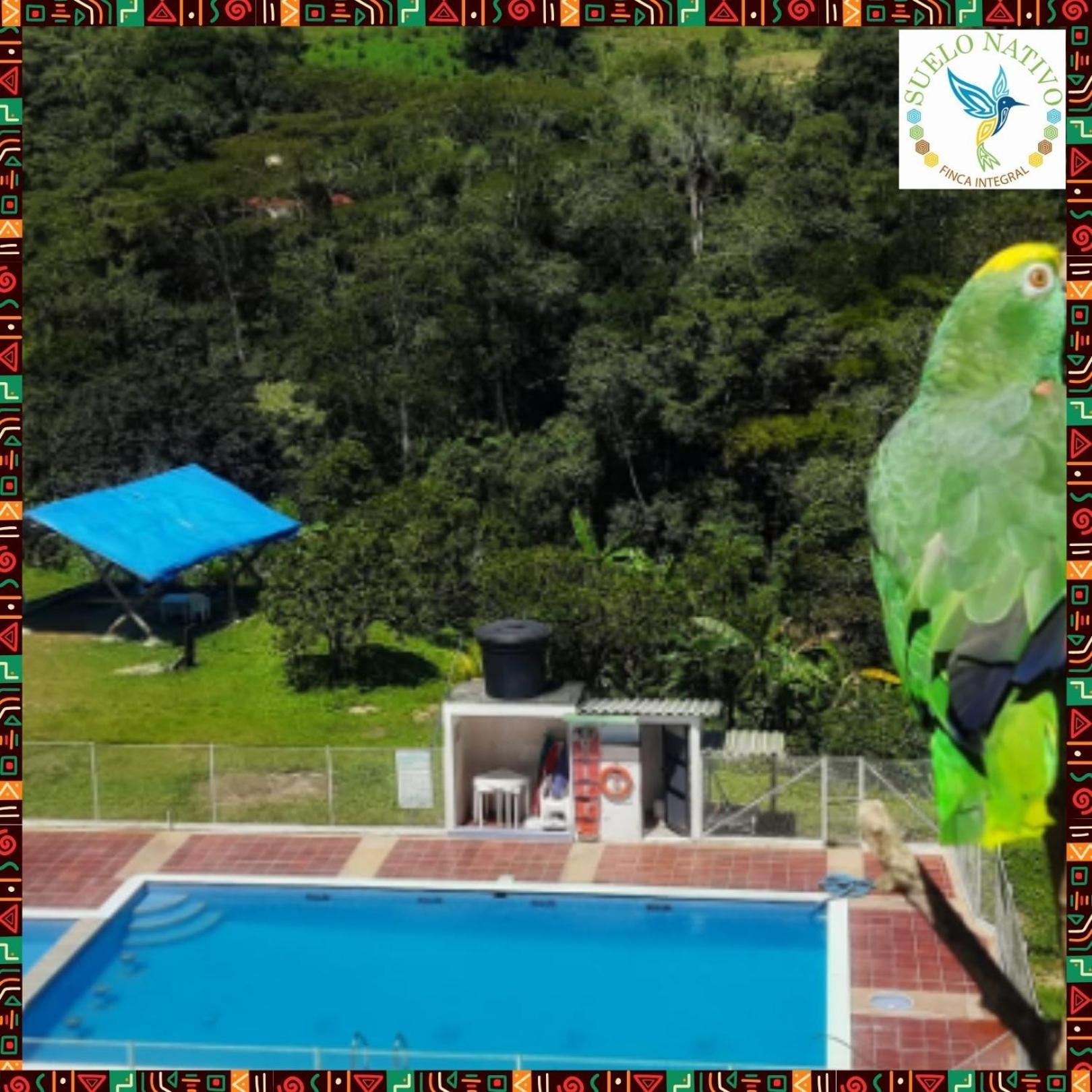 Hotel Finca Integral Suelo Natiivo "Integramos El Campo Con Tu Bienestar" Guaduas Ngoại thất bức ảnh
