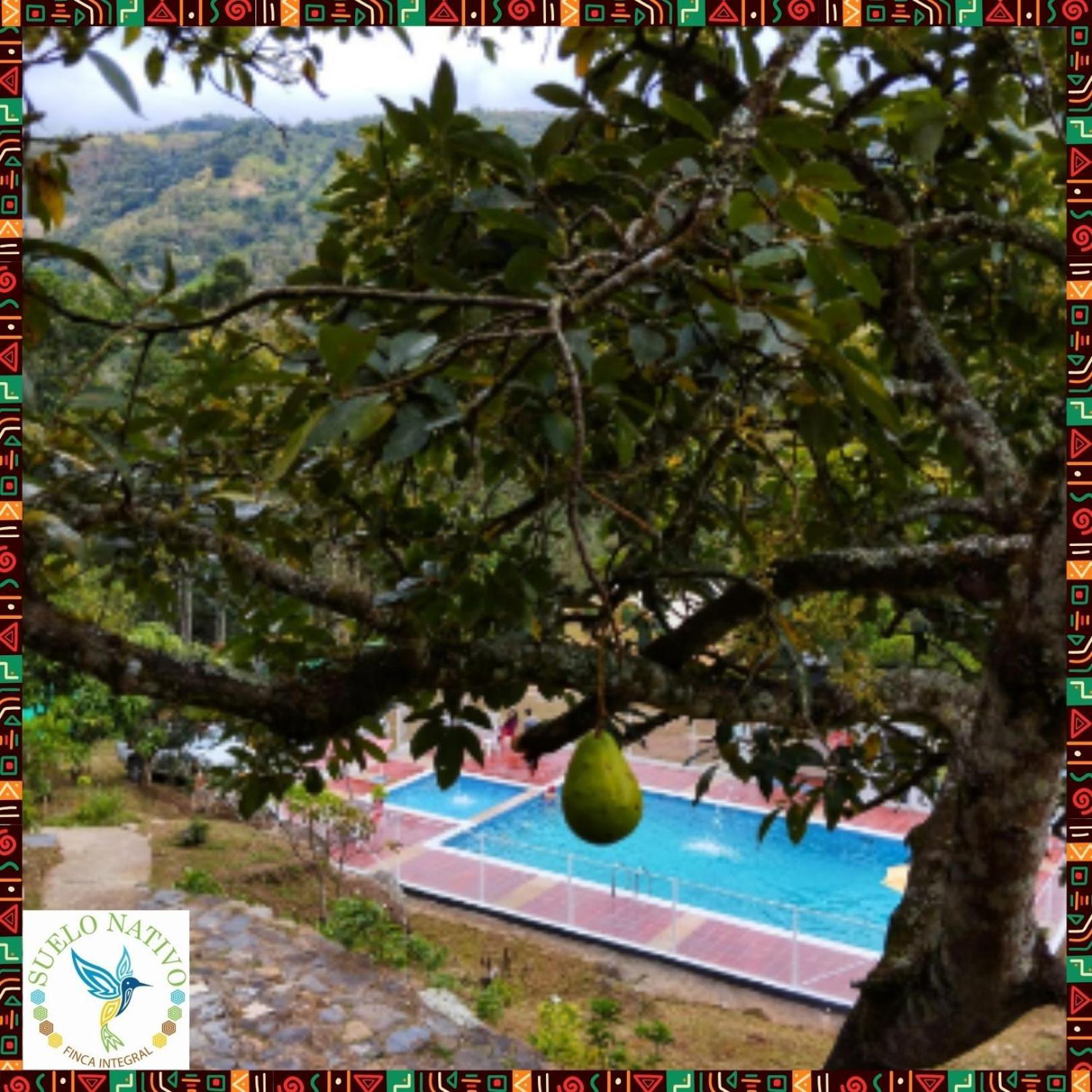 Hotel Finca Integral Suelo Natiivo "Integramos El Campo Con Tu Bienestar" Guaduas Ngoại thất bức ảnh