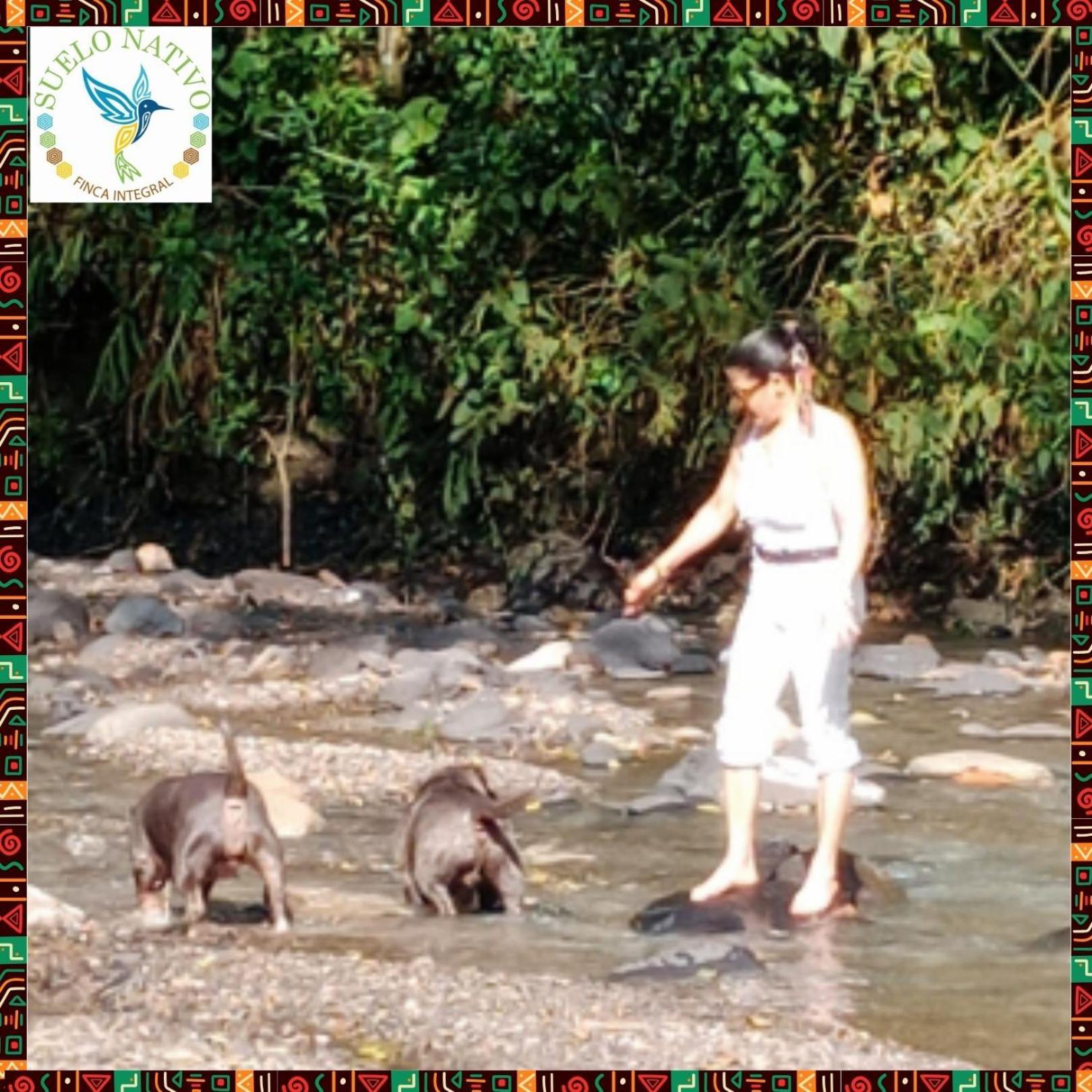 Hotel Finca Integral Suelo Natiivo "Integramos El Campo Con Tu Bienestar" Guaduas Ngoại thất bức ảnh